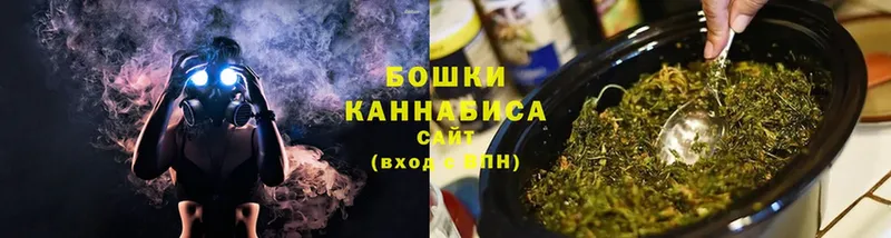 Шишки марихуана Amnesia  где купить наркоту  Лукоянов 